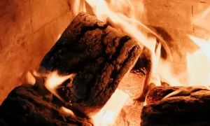 Legna che arde in un forno, un'immagine che evoca il calore e la semplicità di come pulire il forno a legna dopo l'uso.