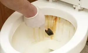 Mano con guanto bianco che usa una spugnetta per rimuovere la ruggine dal water.