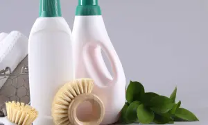 Flaconi bianchi con tappi verdi, spazzole in legno e foglie verdi, per un'idea di detersivi sostenibili.
