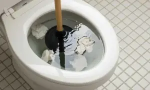 Strofinaccio nel water, con carta che galleggia. Il water non porta via la carta, creando un blocco.