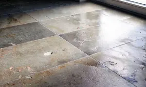 Piastrelle opache del bagno con macchie e crepe. Scopri come pulire piastrelle bagno opache per farle brillare di nuovo.