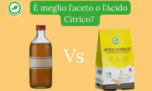 Acido citrico in polvere e aceto in bottiglia, due alleati per pulizie naturali. Quale scegliere?