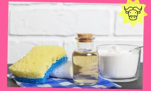 Spugna, aceto e bicarbonato antibatterico: ingredienti naturali per una casa pulita e profumata.