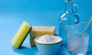 Spugna, sapone, bicarbonato e una bottiglia di aceto, ingredienti per un detersivo lavatrice fai da te.