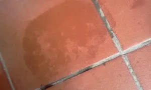 Macchia scura su un tappeto di cotto, forse un ricordo di un bicchiere rovesciato.