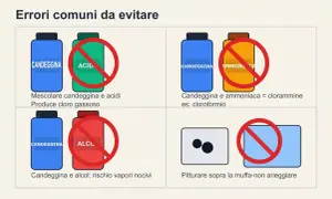 Non mescolare candeggina con acidi, ammoniaca o alcol. Evita di pitturare sopra la muffa senza arieggiare.