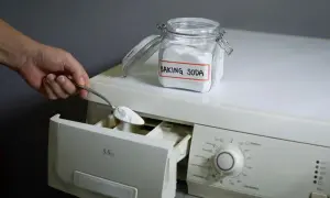 Mano aggiunge bicarbonato di sodio, un ingrediente naturale per la soda per lavatrice, nel cassetto del detersivo.