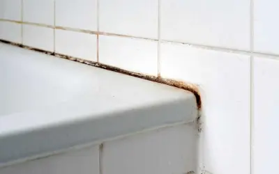 Angolo doccia con fughe nere e muffa, segno di umidità e scarsa manutenzione.