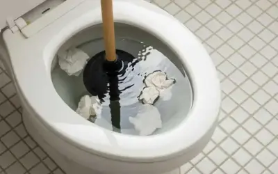 Strofinaccio nel water, con carta che galleggia. Il water non porta via la carta, creando un blocco.