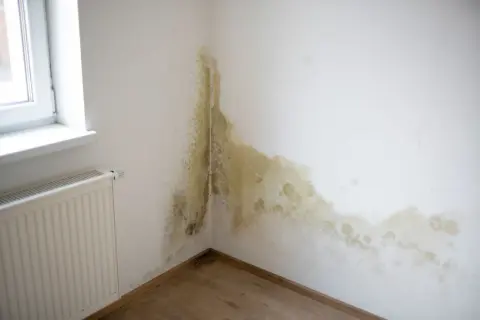 Angolo di una stanza con evidenti macchie sul muro interno, segno di umidità e potenziale muffa.