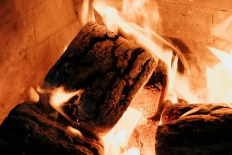 Legna che arde in un forno, un'immagine che evoca il calore e la semplicità di come pulire il forno a legna dopo l'uso.