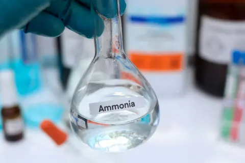 Un guanto blu tiene una beuta con ammoniaca, un composto chimico utile in molti processi industriali e di laboratorio.