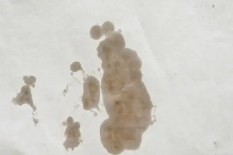 Macchie di olio su carta, un esempio visivo per capire come togliere le macchie di olio.