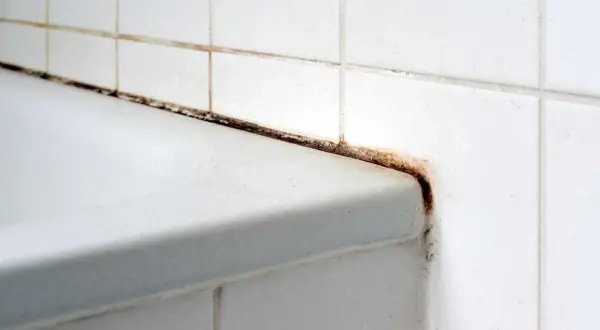 Angolo doccia con fughe nere e muffa, segno di umidità e scarsa manutenzione.