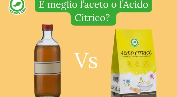 Acido citrico in polvere e aceto in bottiglia, due alleati per pulizie naturali. Quale scegliere?