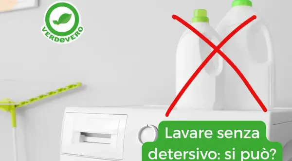 Lavare senza detersivo: si può? Due flaconi di detersivo sono barrati da una X rossa, accanto a una lavatrice.