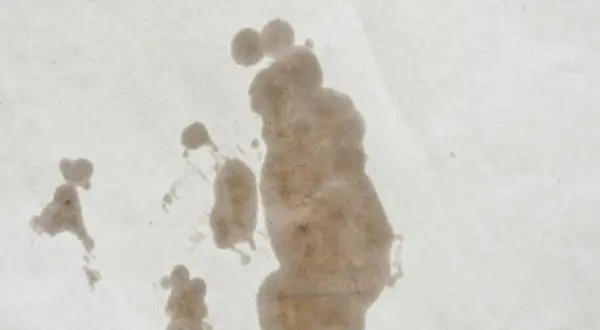 Macchie di olio su carta, un esempio visivo per capire come togliere le macchie di olio.
