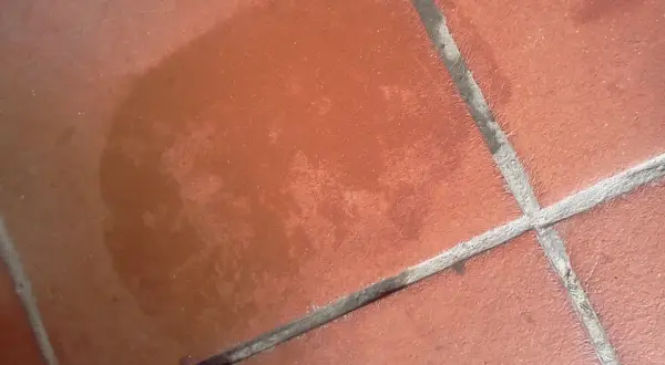 Macchia scura su un tappeto di cotto, forse un ricordo di un bicchiere rovesciato.