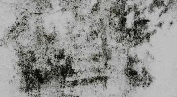 Macchie scure di muffa su una parete bianca, un problema comune per chi cerca come togliere la muffa dal marmo.