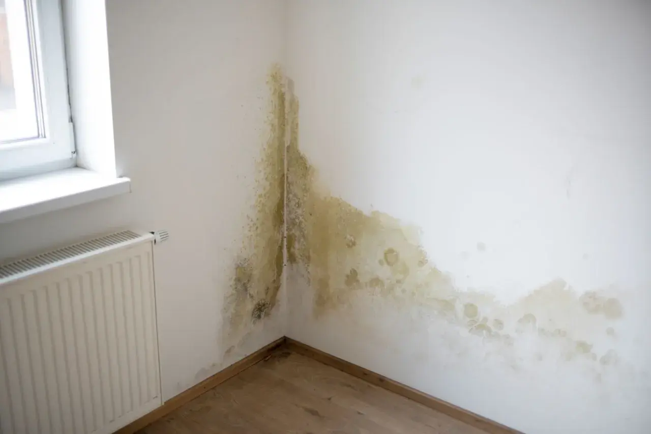 Angolo di una stanza con evidenti macchie sul muro interno, segno di umidità e potenziale muffa.