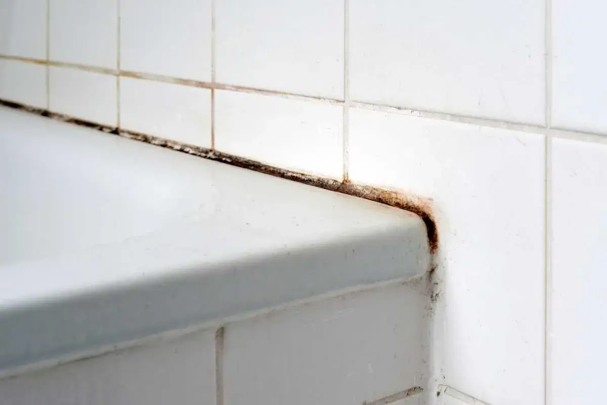 Angolo doccia con fughe nere e muffa, segno di umidità e scarsa manutenzione.