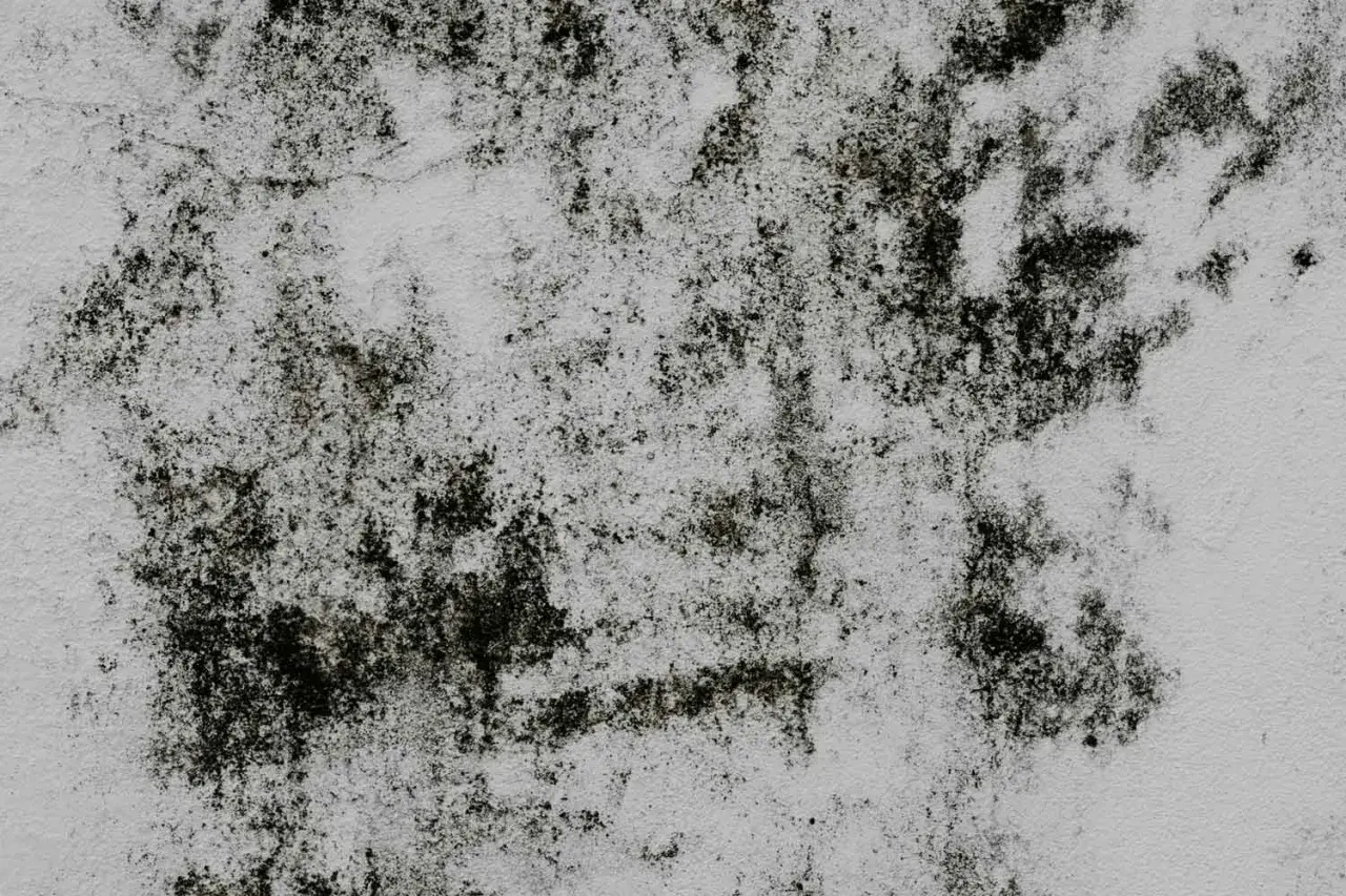 Macchie scure di muffa su una parete bianca, un problema comune per chi cerca come togliere la muffa dal marmo.