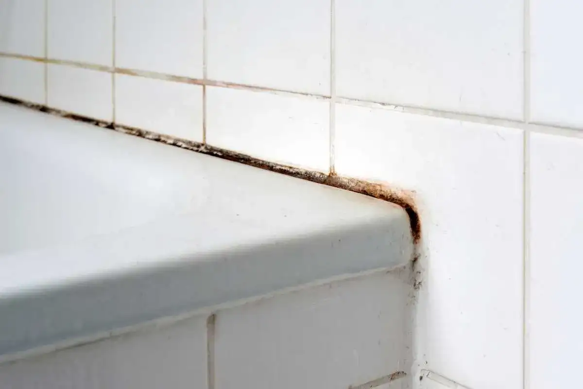 Angolo doccia con fughe nere e muffa, segno di umidità e scarsa manutenzione.