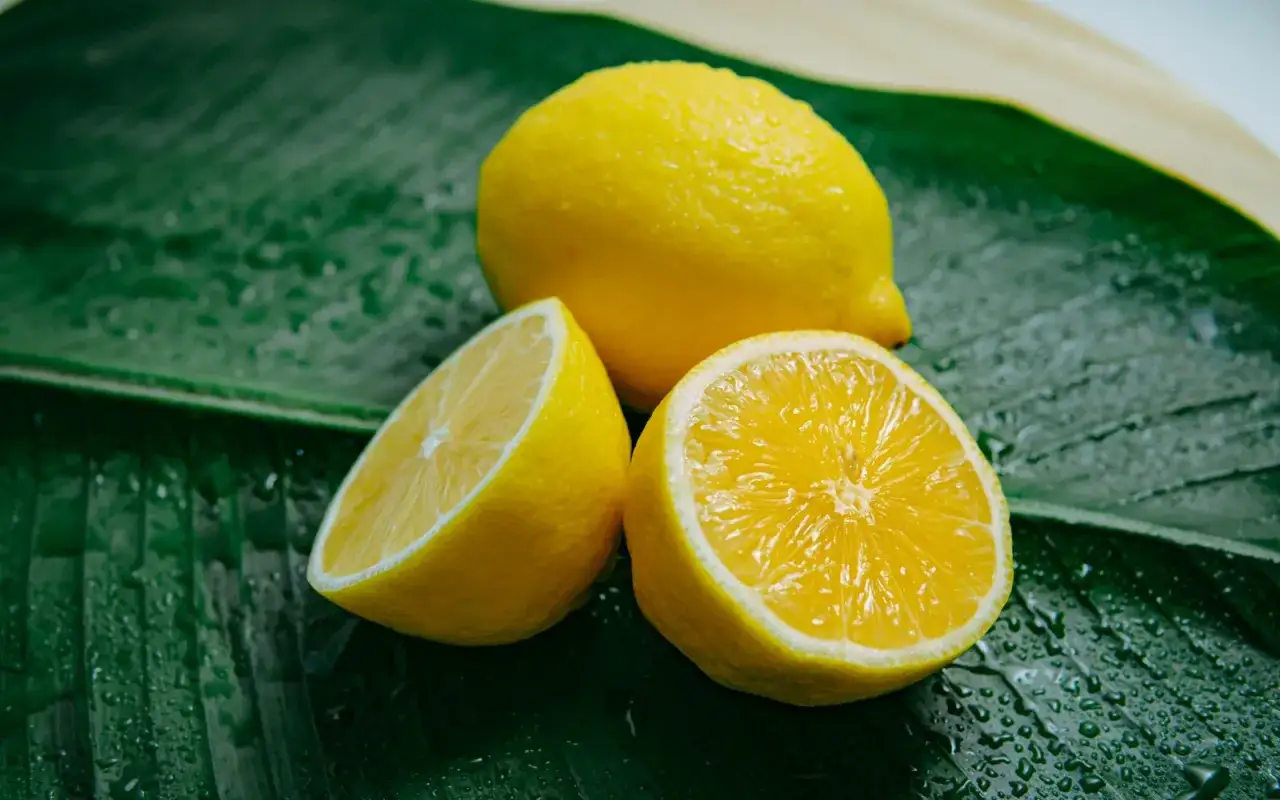 Limoni freschi e succosi su una foglia verde bagnata. Un rimedio naturale per i capelli grassi.