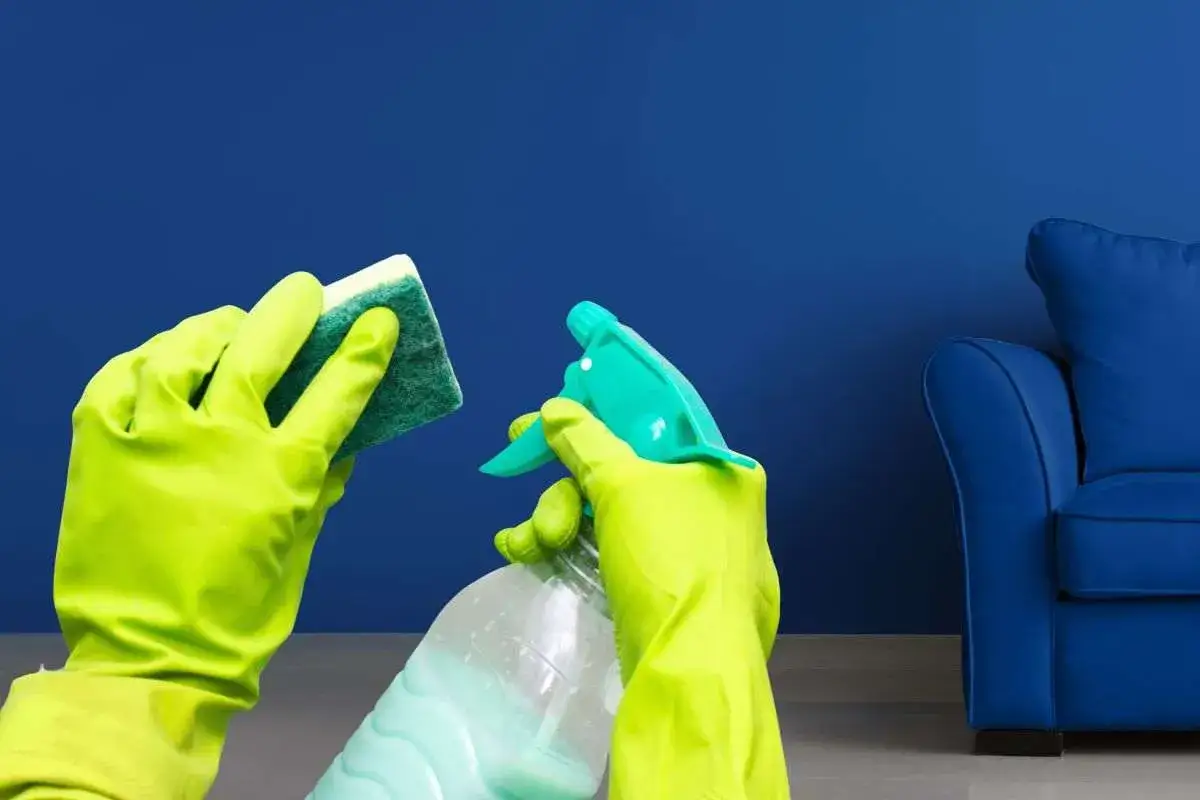 Mani con guanti verdi pronte a togliere macchie dal muro colorato con spugna e spray.