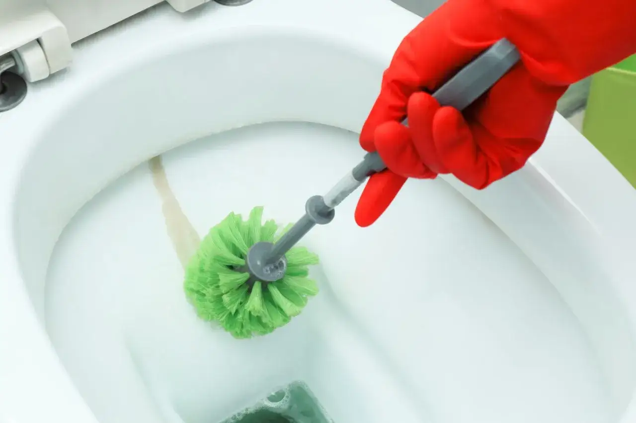 Mano con guanto rosso pulisce incrostazioni water con scopino verde.