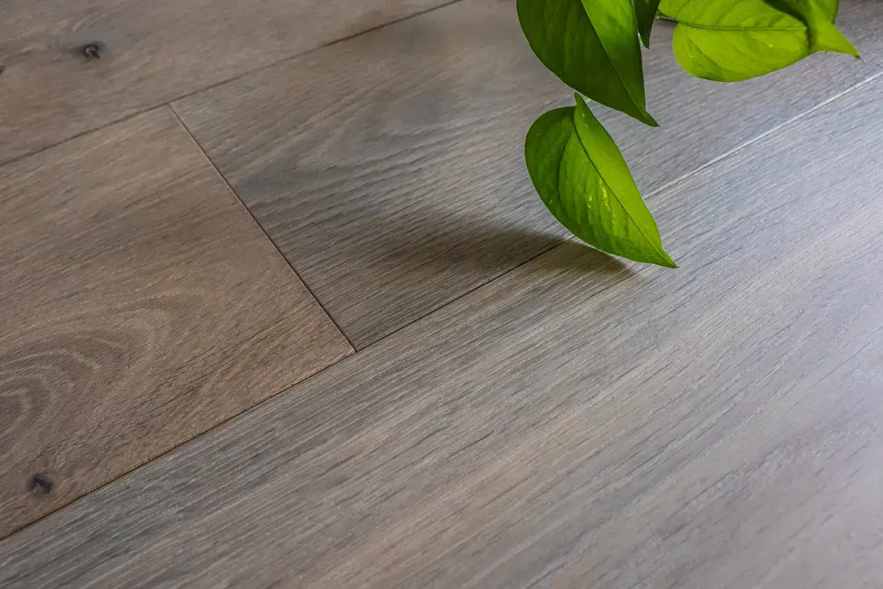 Dettaglio di un parquet oliato o verniciato con venature grigie e marroni, con foglie verdi che creano un'ombra.