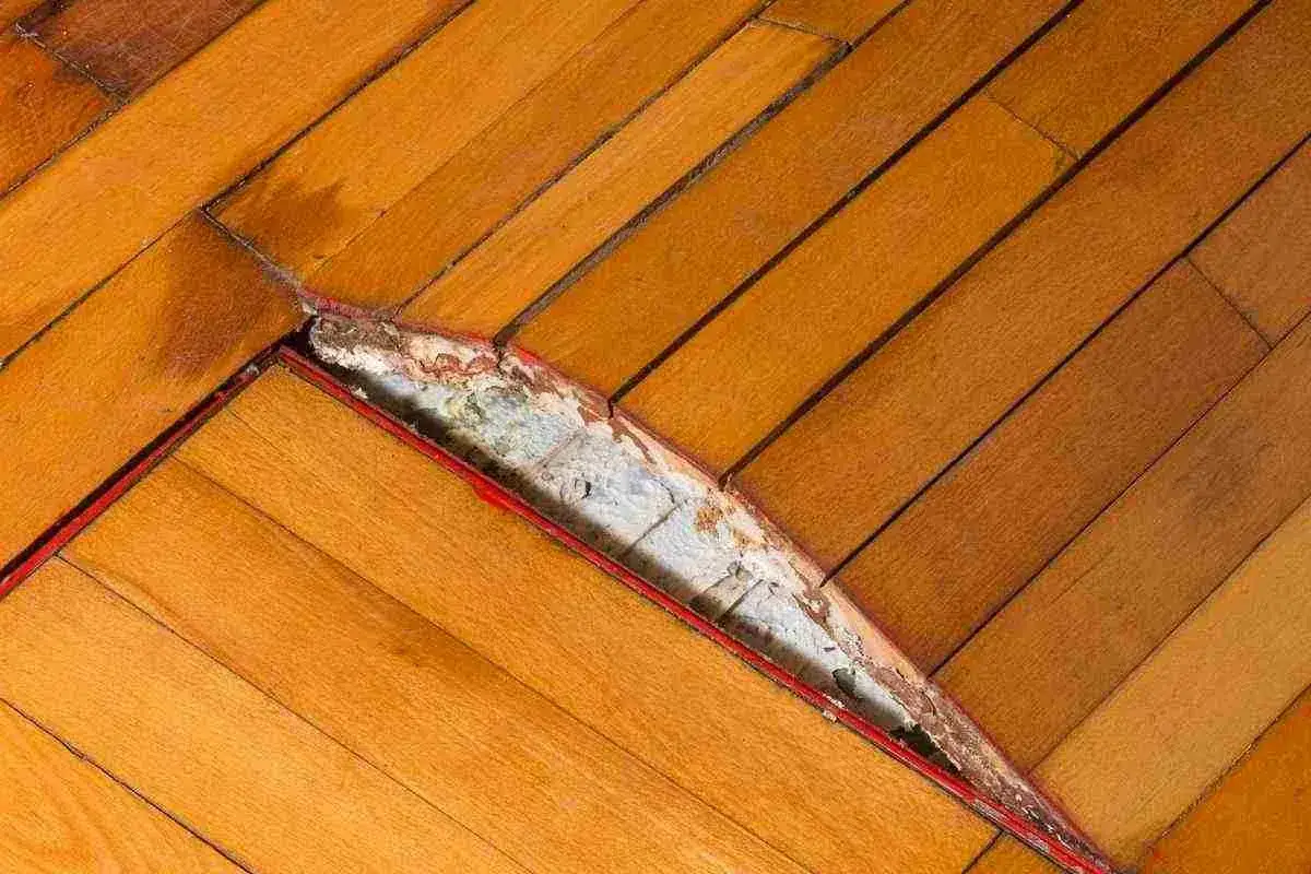 Parquet gonfio e danneggiato, con listelli sollevati e materiale sottostante visibile. Guida su come abbassare parquet gonfio.