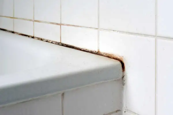 Angolo doccia con fughe nere e muffa, segno di umidità e scarsa manutenzione.